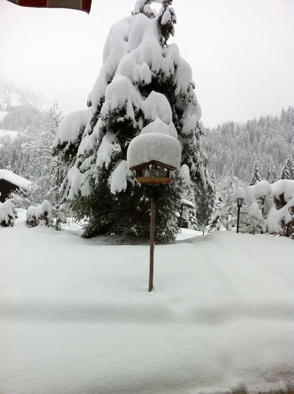 Chalet Erika Eriz Room photo